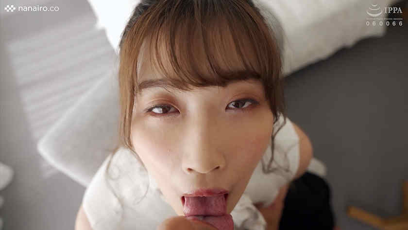 229SCUTE-1354