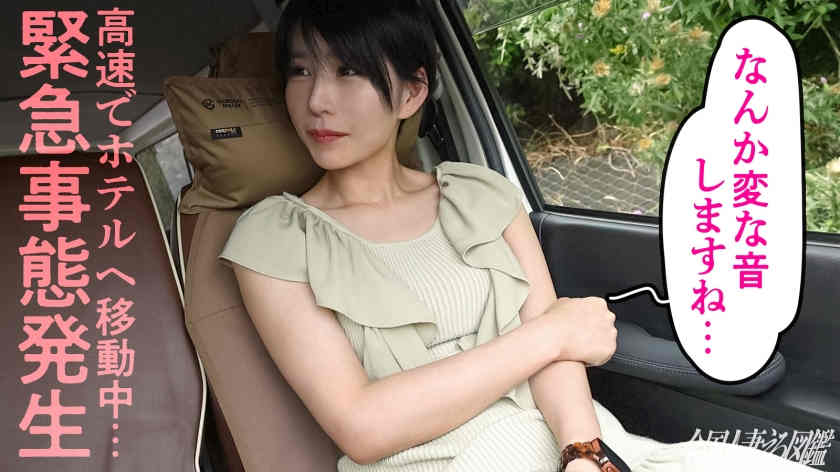 336KNB-288
