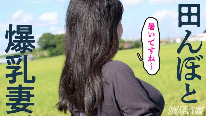 336KNB-293