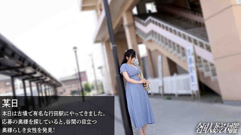 336KNB-384