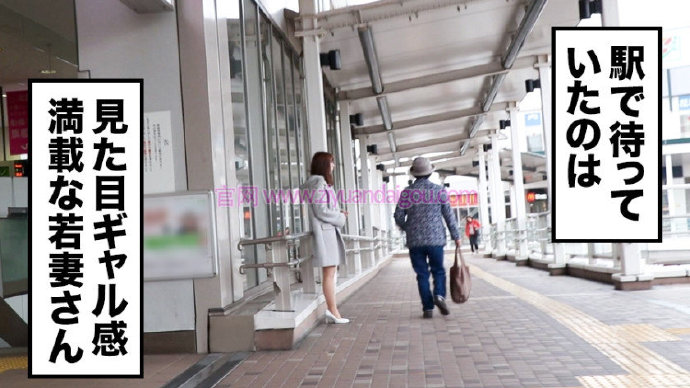 番号:336KNB-037